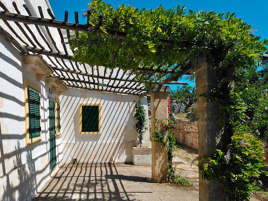 Patio - Courtyard - Cour