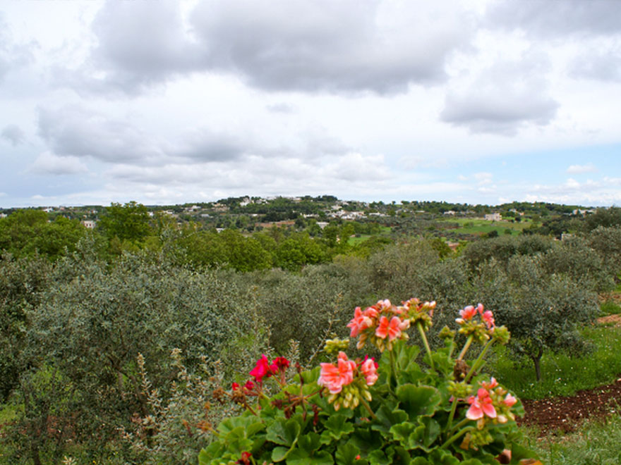 Visione panoramica - Panoramic view - Vue panoramique